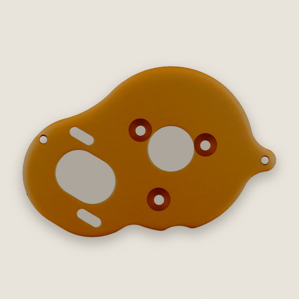 Motor Plate, Gold for Stealth X - Associated