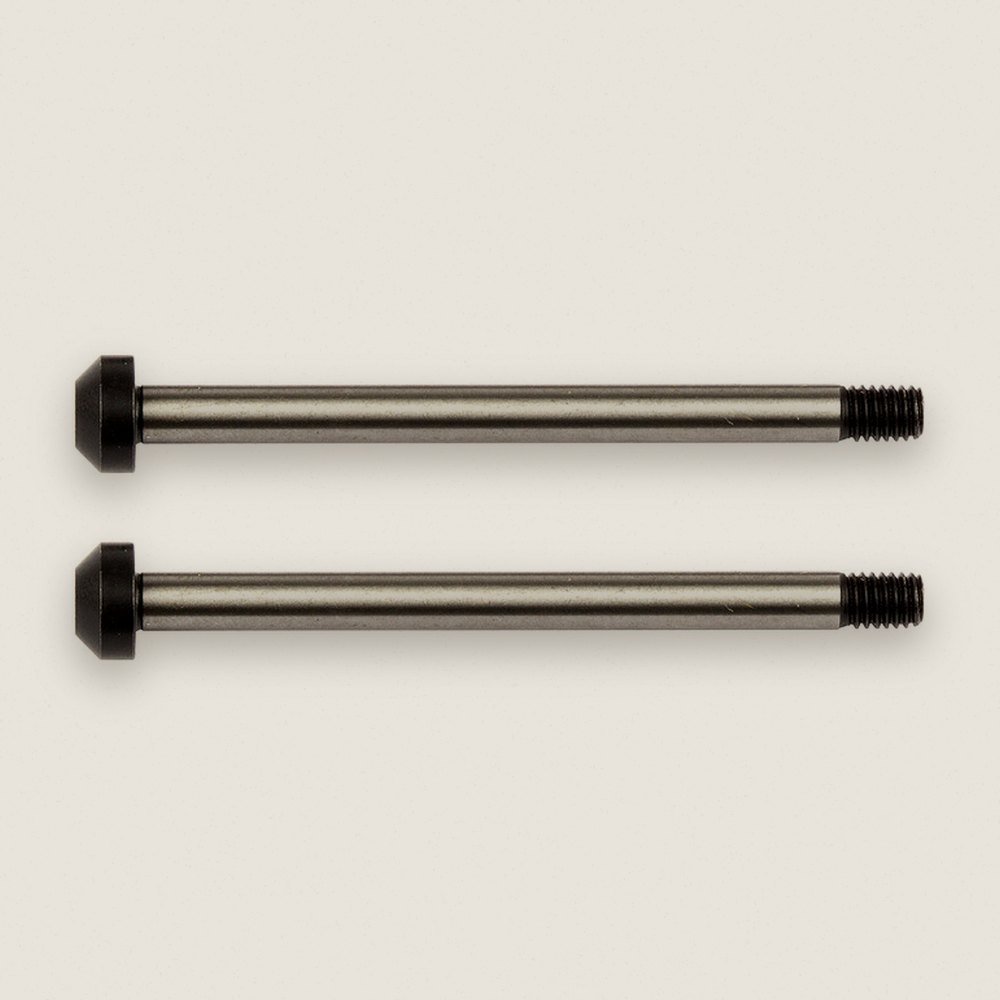 Rear Hub Hinge Pins for RC10B74 - Associated