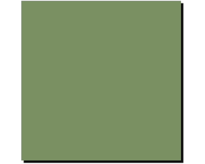 Acrylic Model Paint 1 Oz Bottle Raf Interior Green