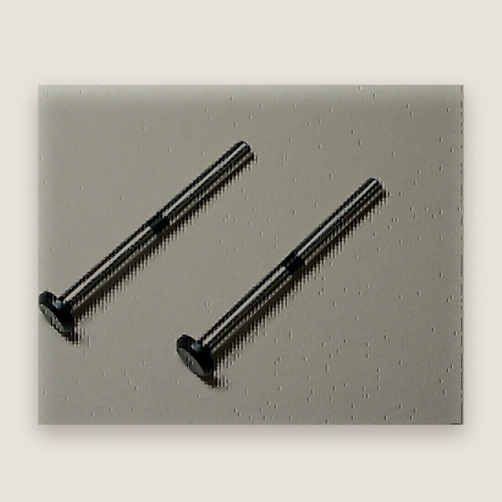 Front Inner Hinge Pins, 2 Pieces for Msb1 - Mugen Seiki