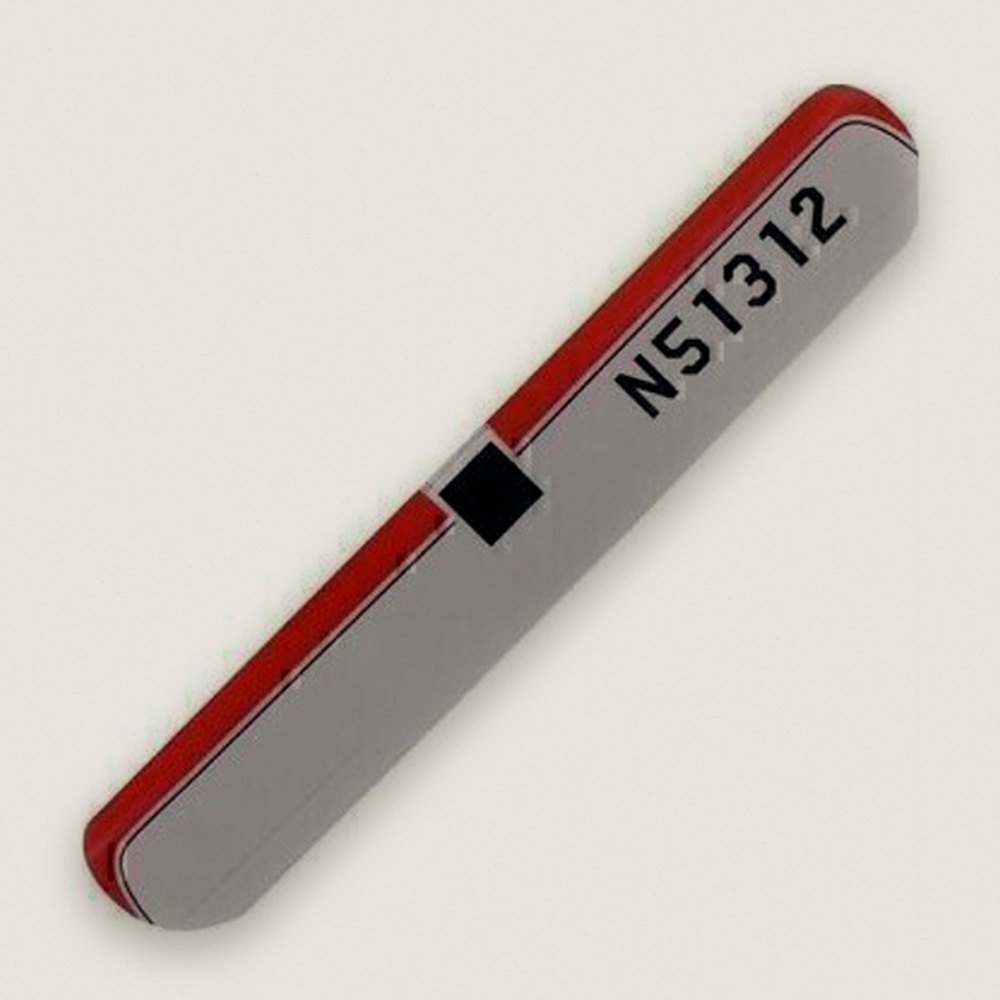 Wing with Supports, Taylorcraft - Rage RC