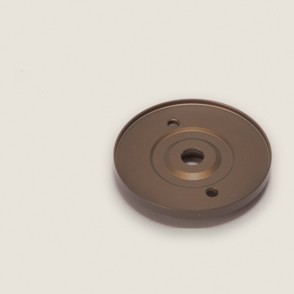 Slipper Thrust Plate for C2W - Schumacher