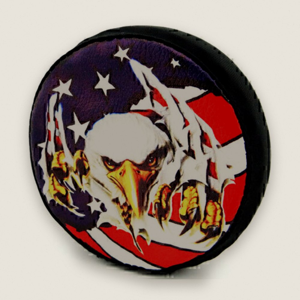1:10 Scale American Eagle Spare Tire Cover - Scx10 (toy)