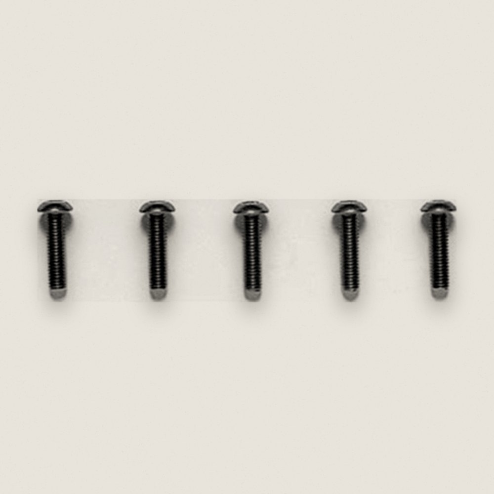 RC 3x12mm Hex Socket Screw - 5 pieces Titanium