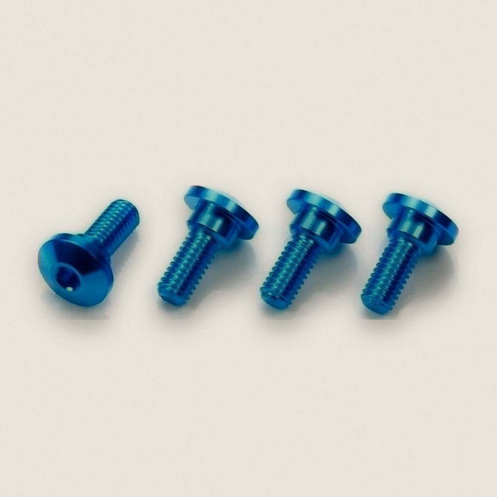 Aluminum Step Screws x4