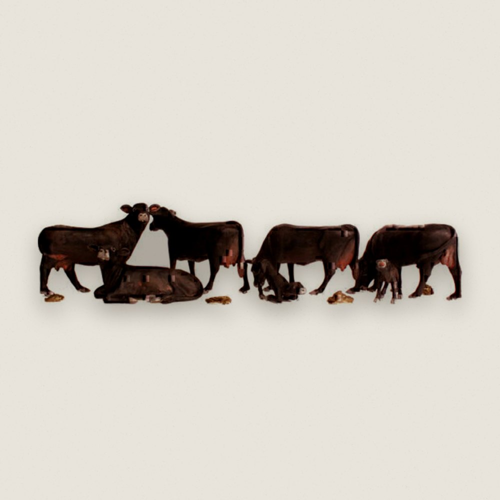 Animal Set, HO Scale: Black Angus Cows - Woodland Scenics