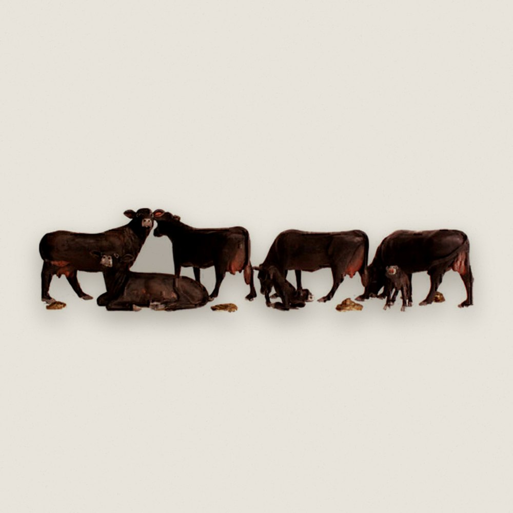 Black Angus Cows, N Scale - Woodland Scenics