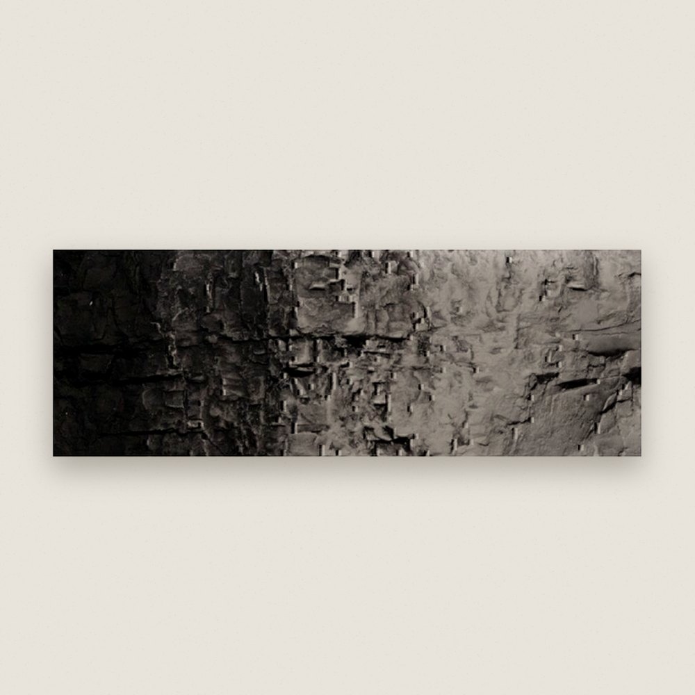 Earth Color, Black 4oz - Woodland Scenics