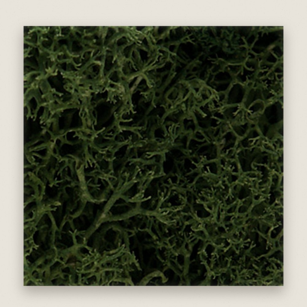 Lichen Bag, Medium Green, 82 cu. in. - Woodland Scenics