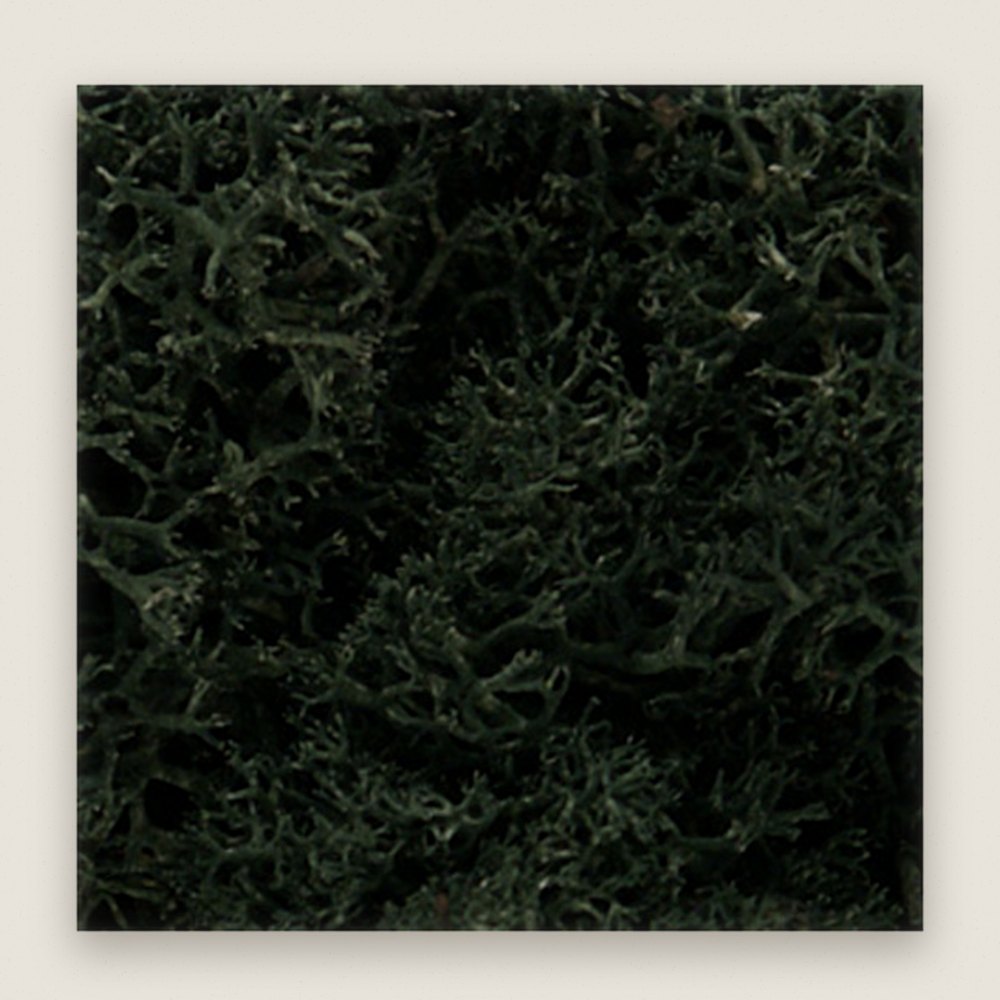 Lichen Bag, Dark Green, 82 cu. in. - Woodland Scenics