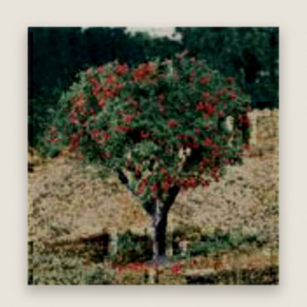Flower Bag, 4-Color, 1.5 Cubic Inches - Woodland Scenics