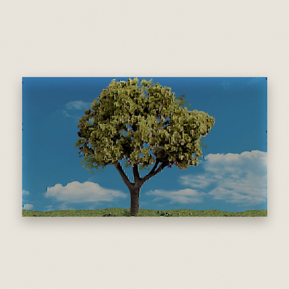 Tree, Classics, Early Light, .75-1.25, Qty 8 - Woodland Scenics