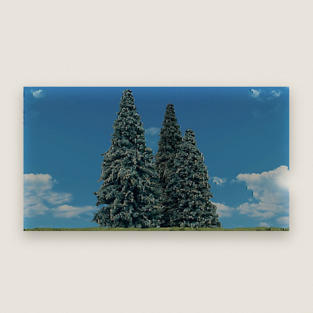 Tree, Classics, Blue Needle, 2.5-4, Qty 5 - Woodland Scenics