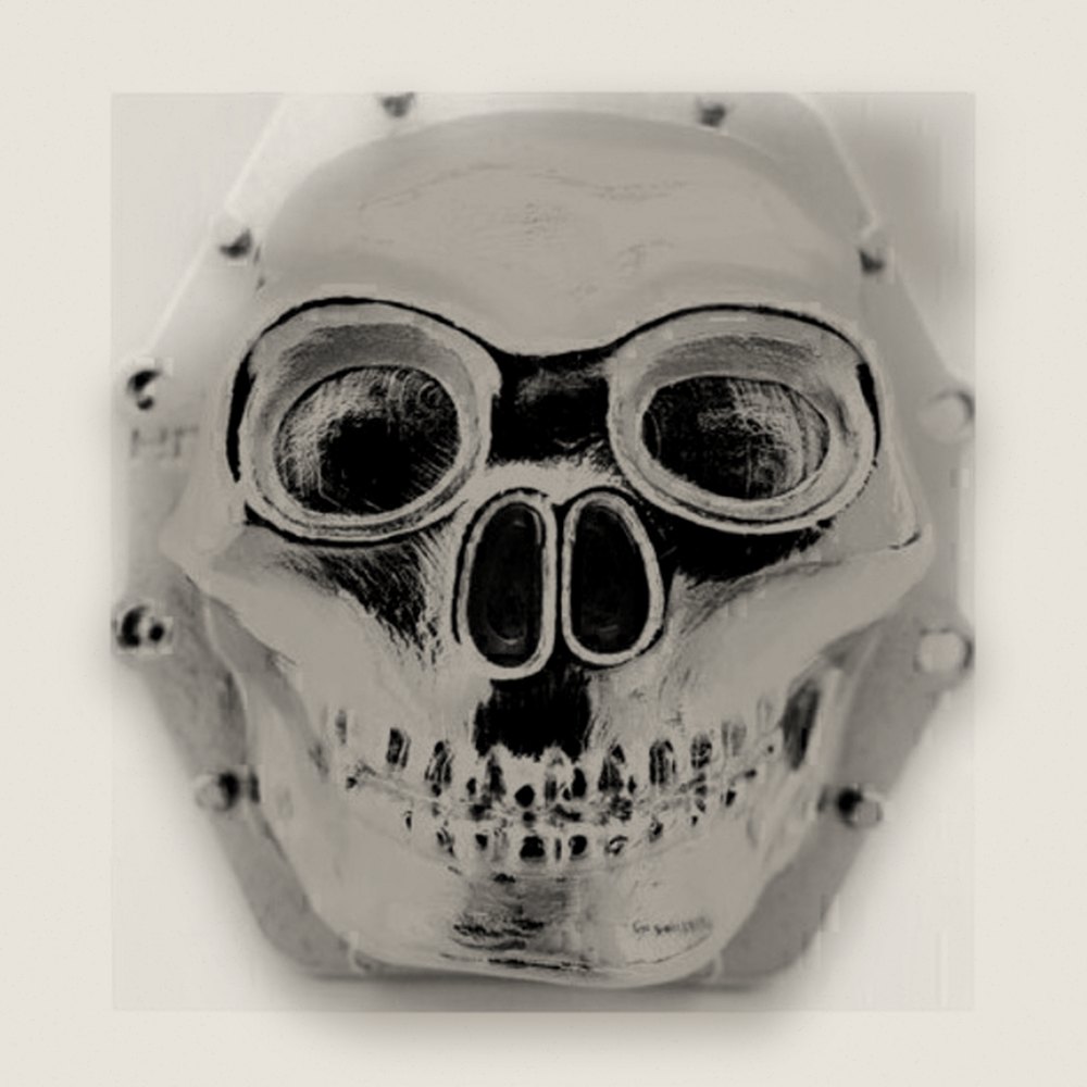Metal Skull AR60 Diff Cover (Chrome) - Axial Yeti Wraith AX10